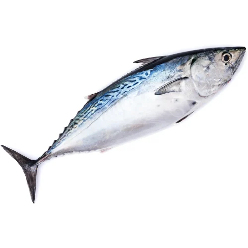 Паламуд
