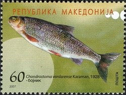 Вардарски скобар